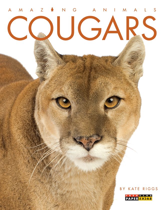 Cougars (Amazing Animals Series)
