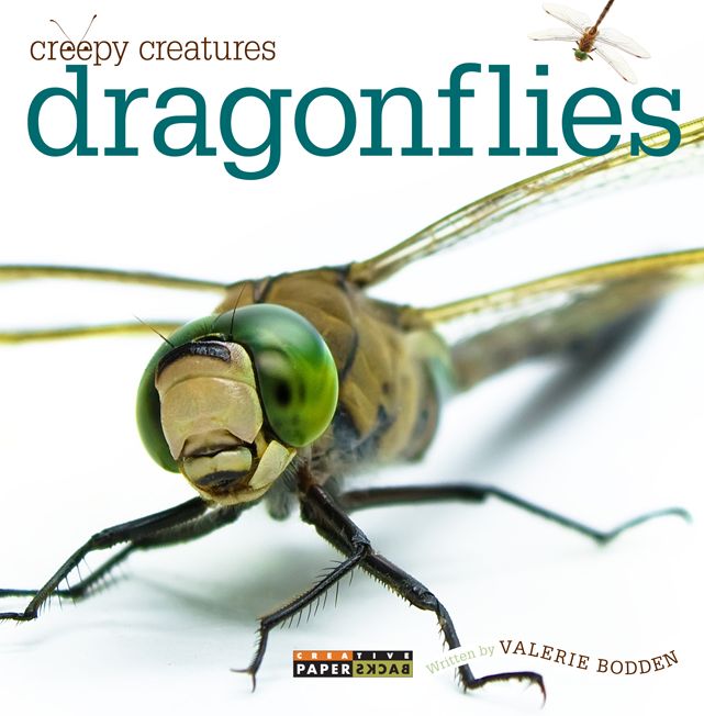 Creepy Creatures: Dragonflies