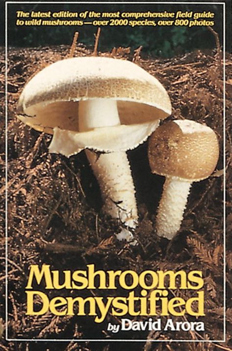 Mushrooms Demystified: A Comprehensive Guide to the Fleshy Fungi