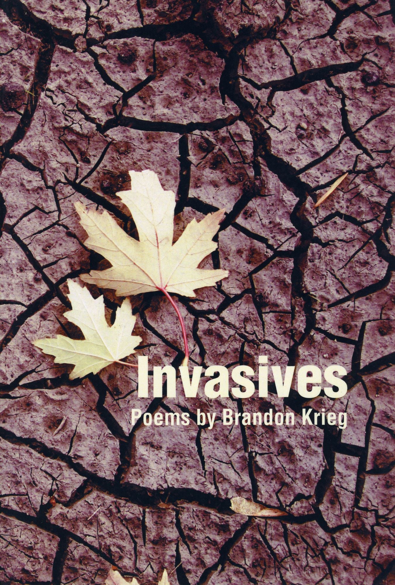 Invasives