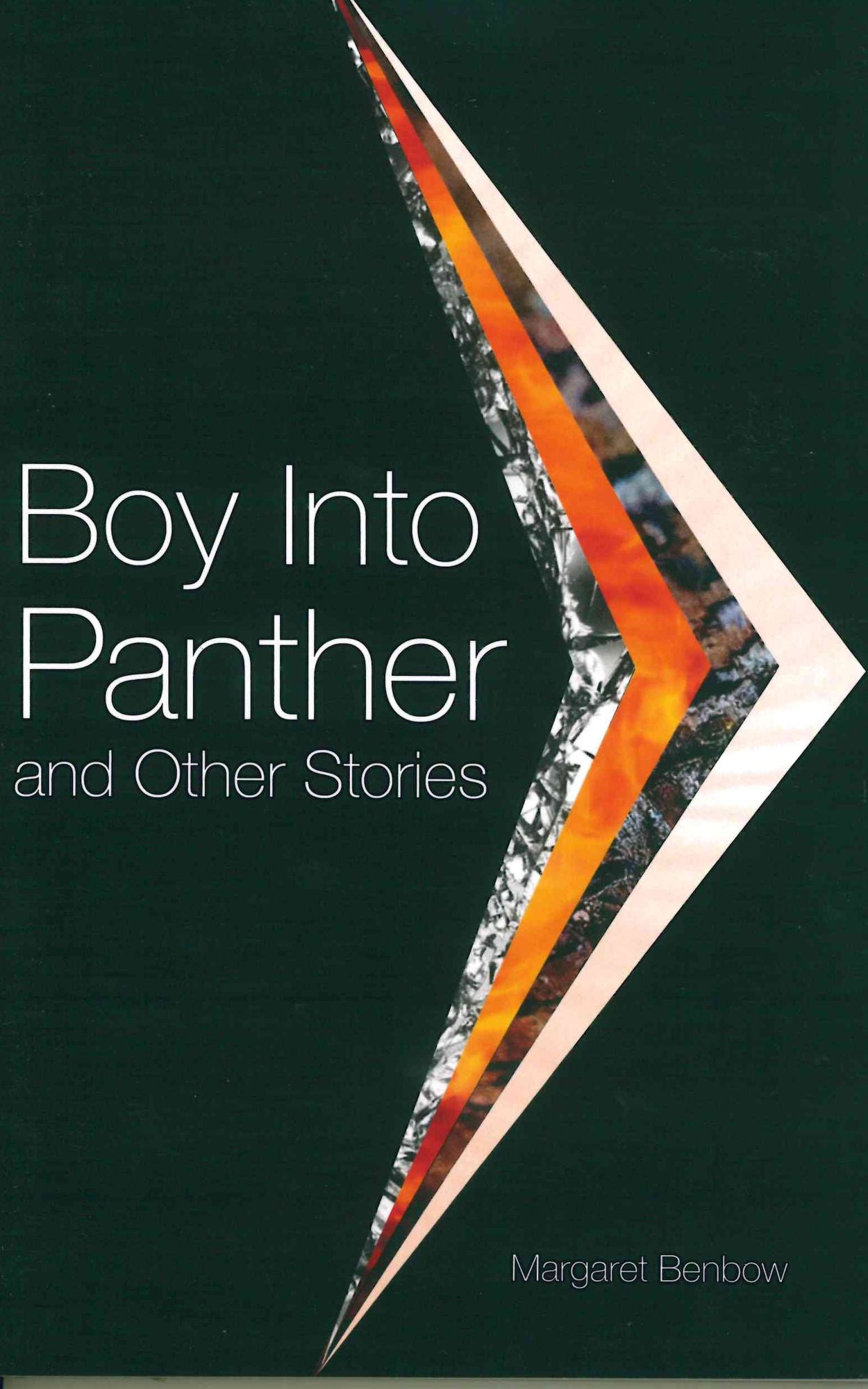 Boy into Panther and Other Stories