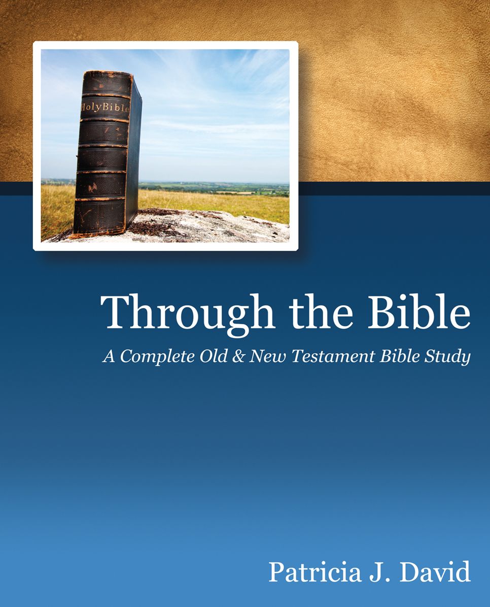 Through the Bible: A Complete Old & New Testament Bible Study