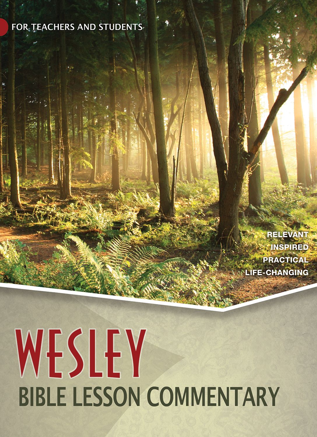 Wesley Bible Lesson Commentary Volume 4