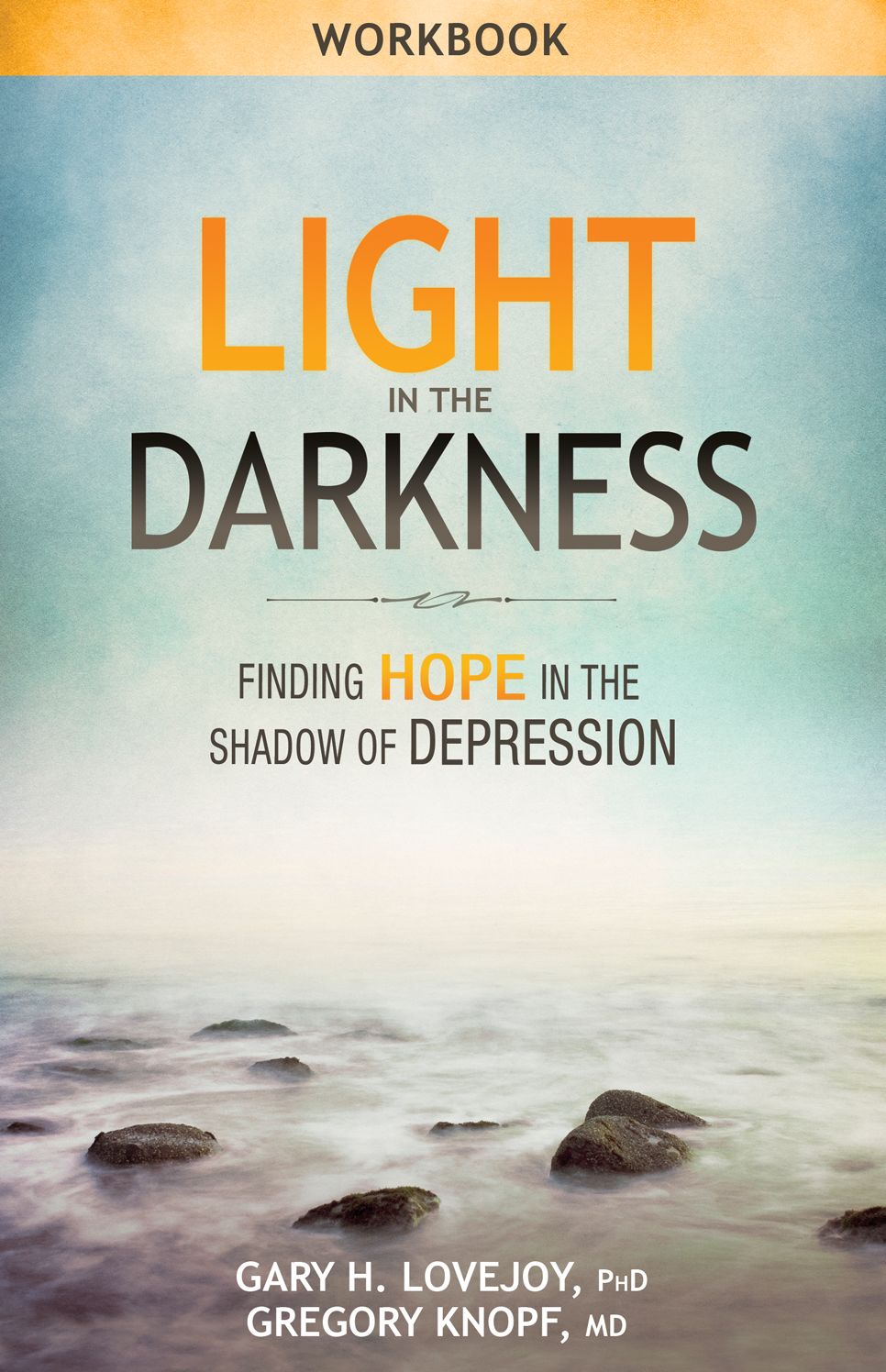 Light in the Darkness Workbook