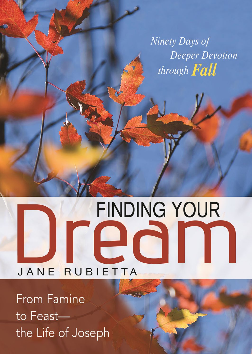 Finding Your Dream: From Famine to Feast - The Life of Joseph