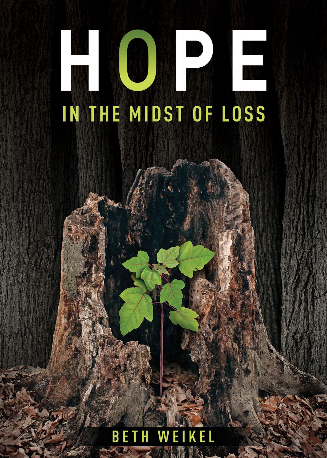 Hope in the Midst of Loss