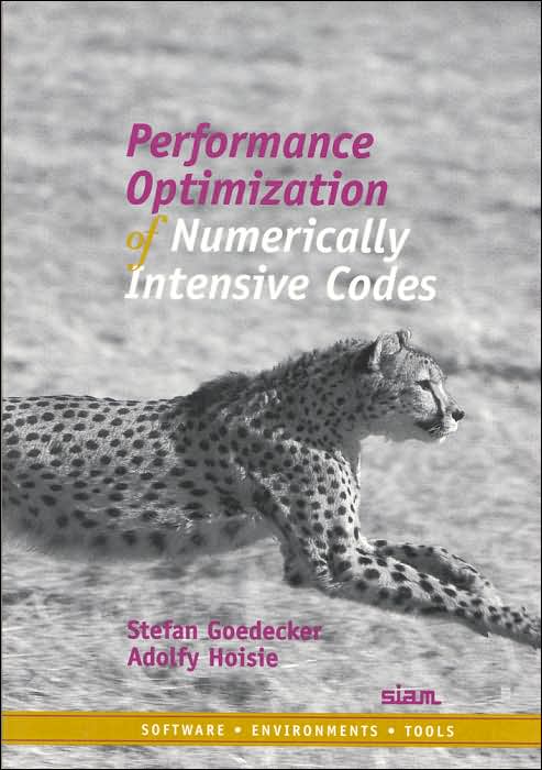 Performance Optimization of Numerically Intensive Codes