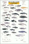 Mac's Field Guide to Marine Mammals of North America