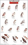 Maca's Field Guide to the Birds of Prey of North America