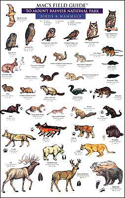 Mac's Field Guide to Mount Rainier National Park: Birds & Mammals