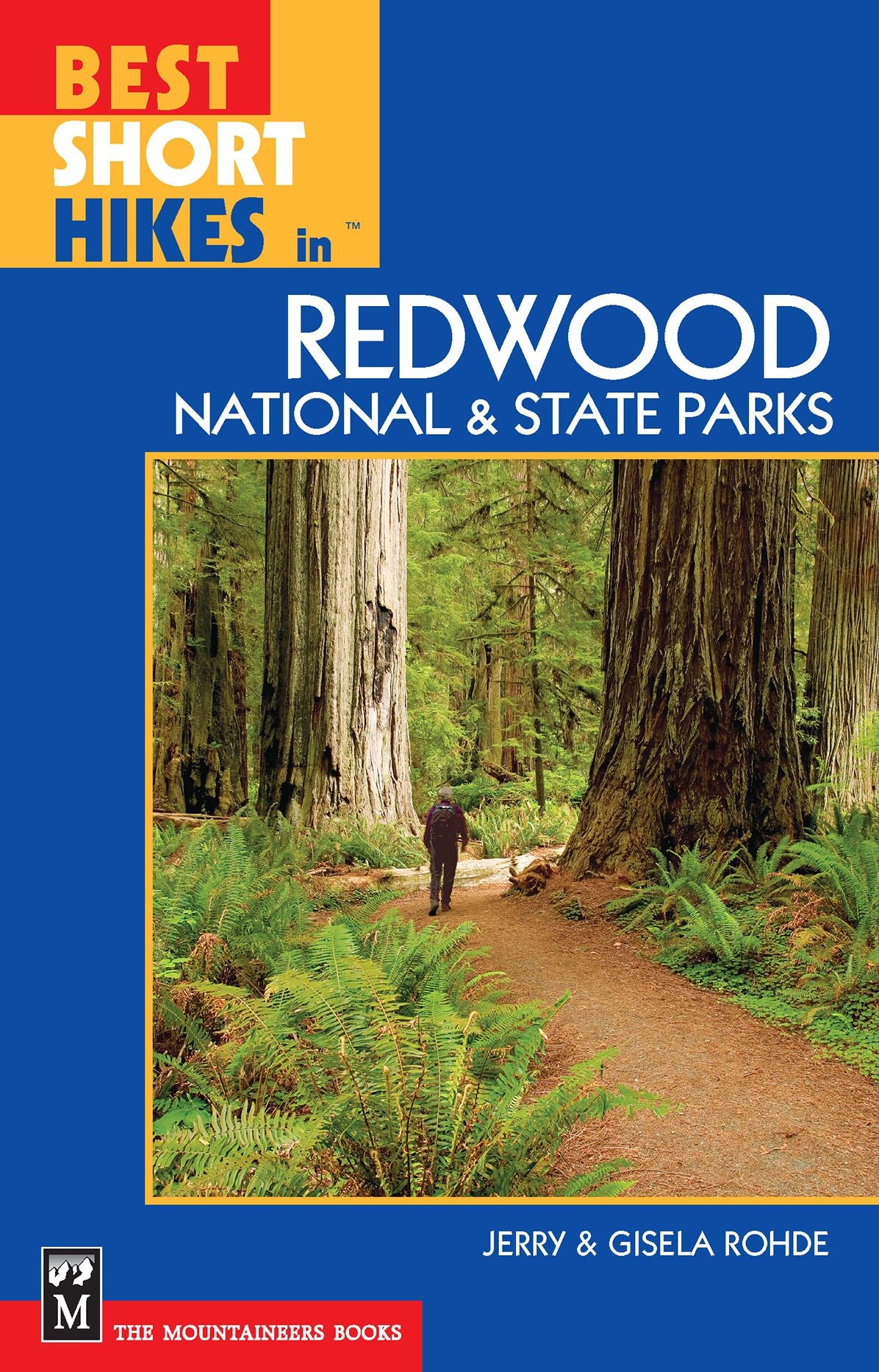 Best Short Hikes Redwood National and State Parks