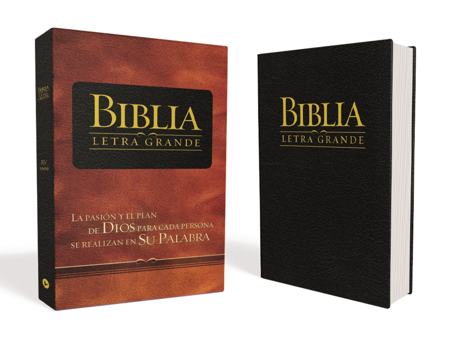 Biblia letra grande RV 1909