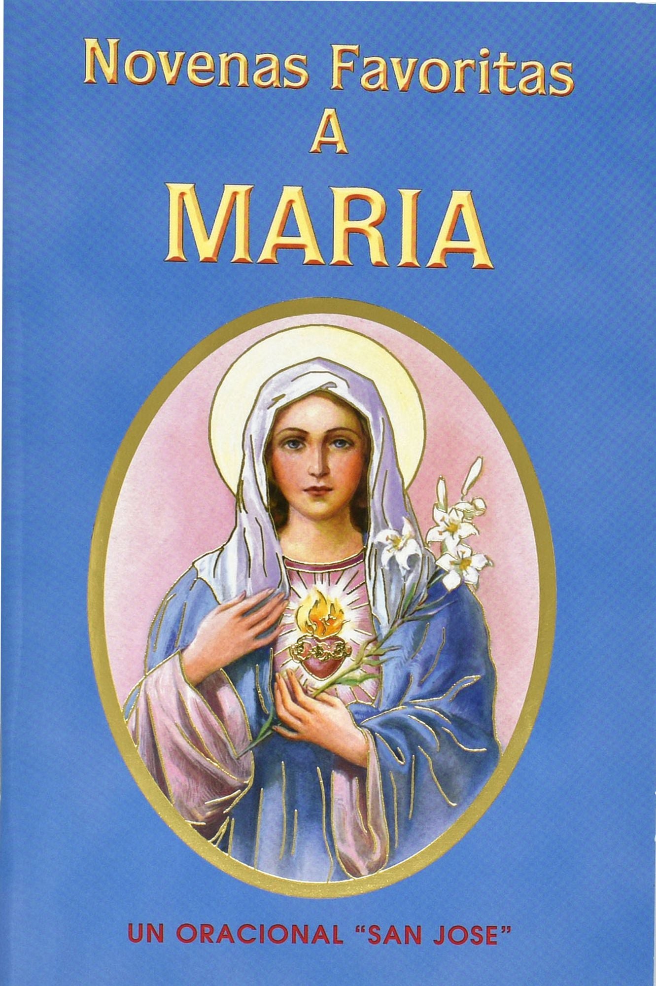 Novenas Favoritas A Maria