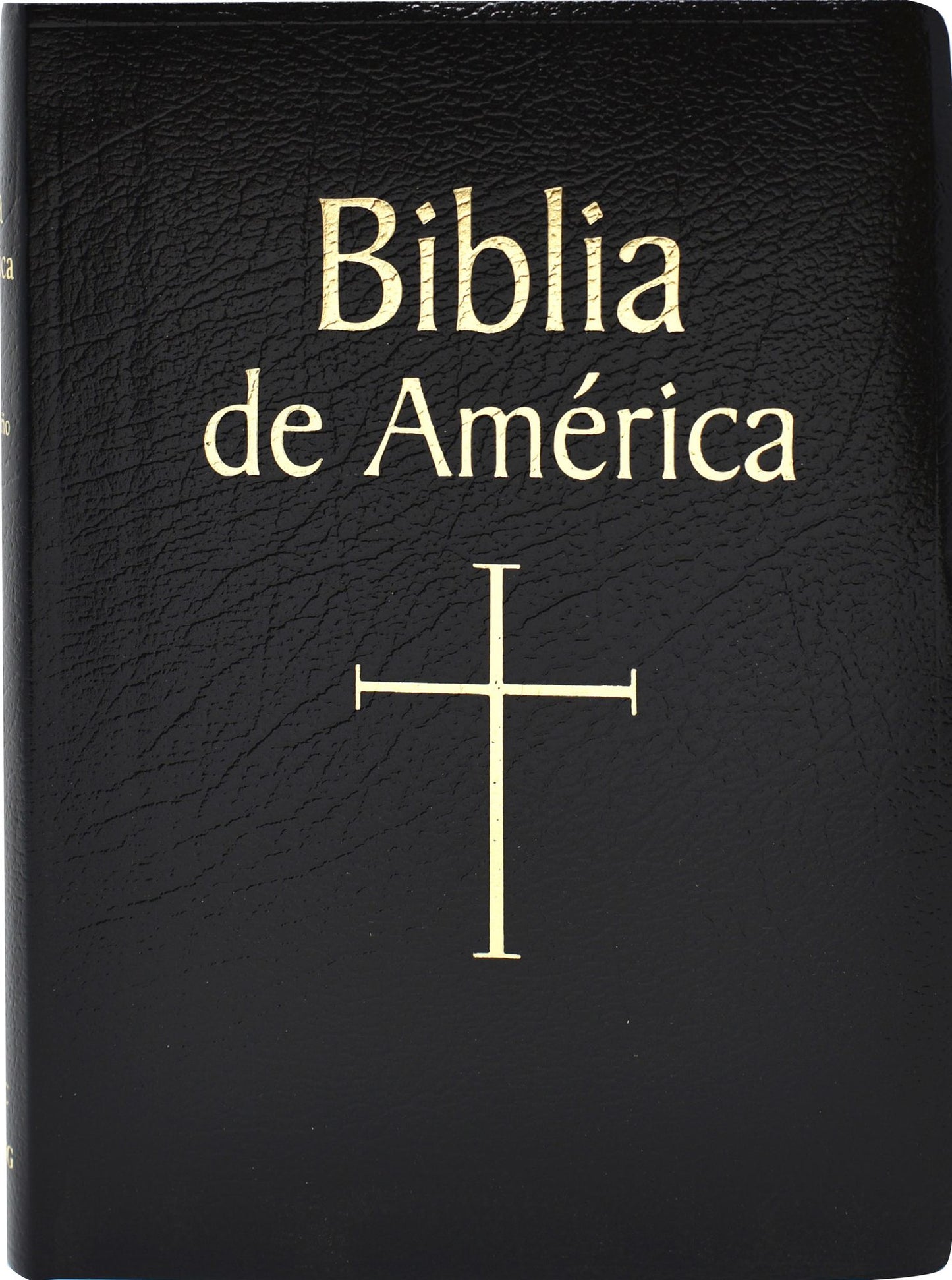 Biblia de America