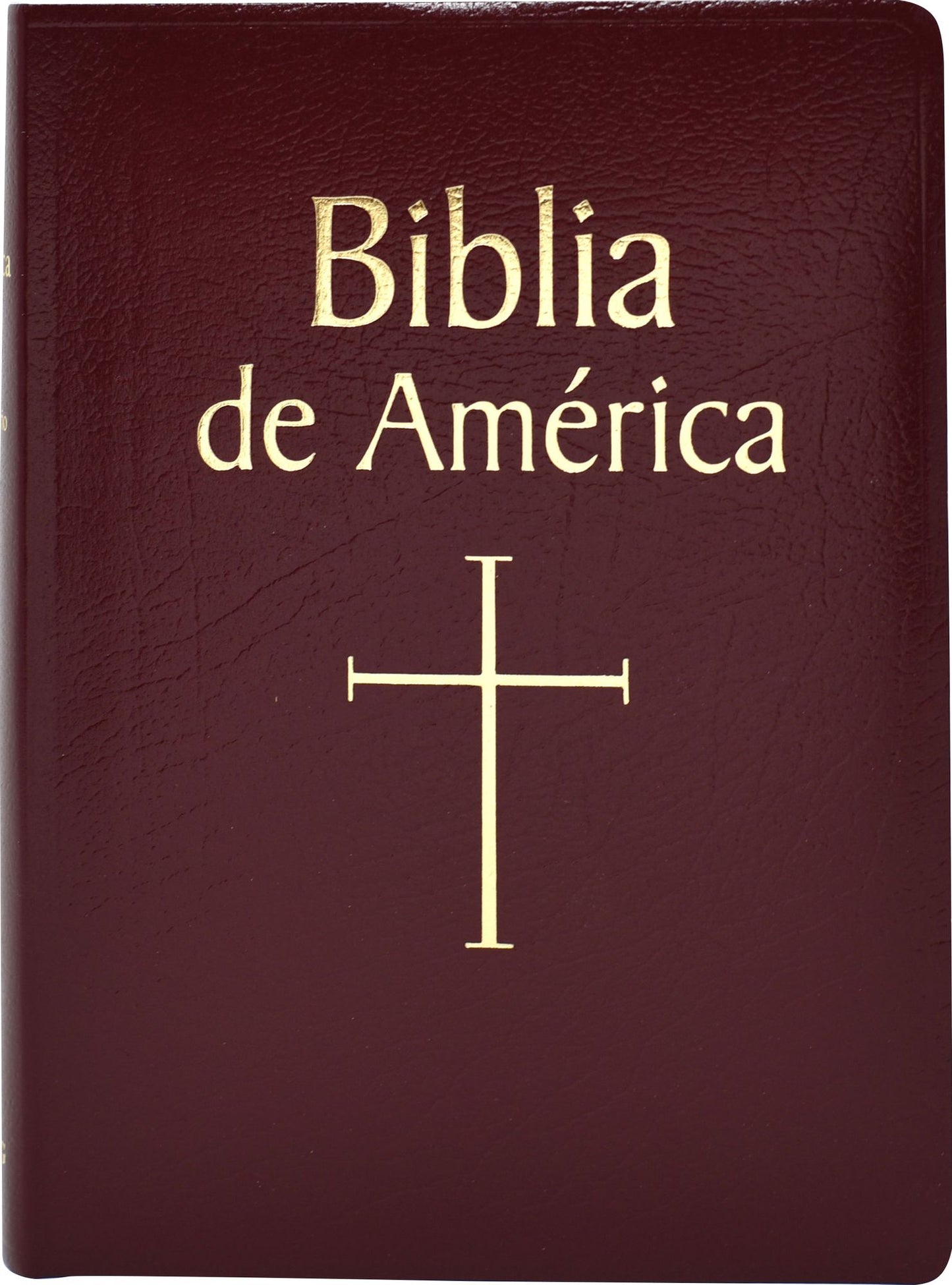 Biblia de America