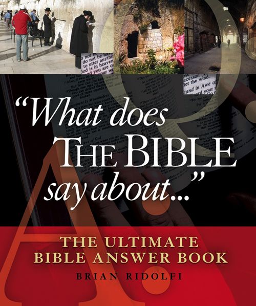 What Does the Bible Say About...: The Ultimate Bible Answer Book