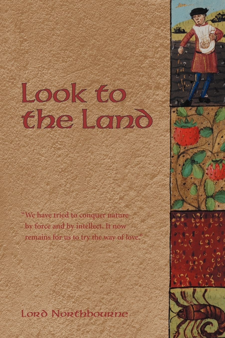 Look To The Land