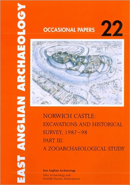 Norwich Castle: Excavations and Historical Survey 1987-98, Part III
