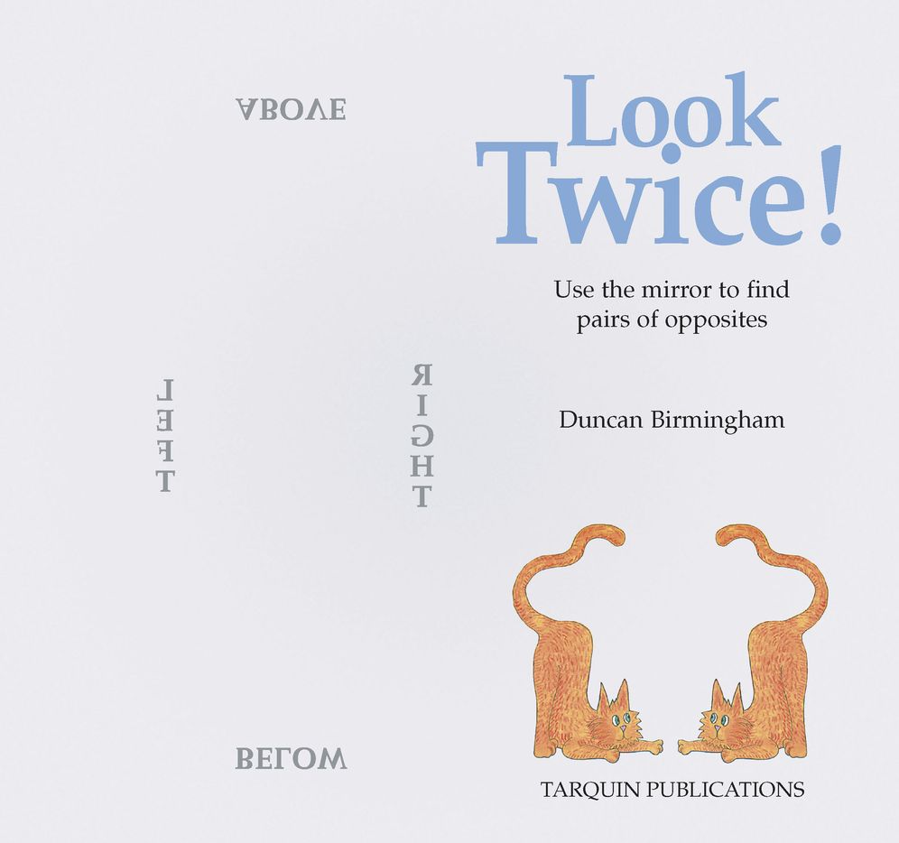 Look Twice: Use the mirror to find the pairs of opposites