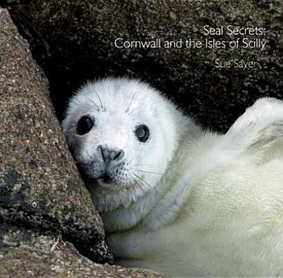 Seal Secrets: Cornwall and the Isles of Scilly