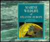 Marine Wildlife of Atlantic Europe