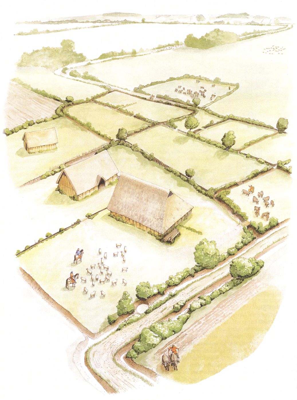 The Rural Settlement of Roman Britain: New Visions of the Countryside of Roman Britain, Volume 1