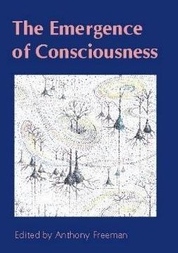 The Emergence of Consciousness