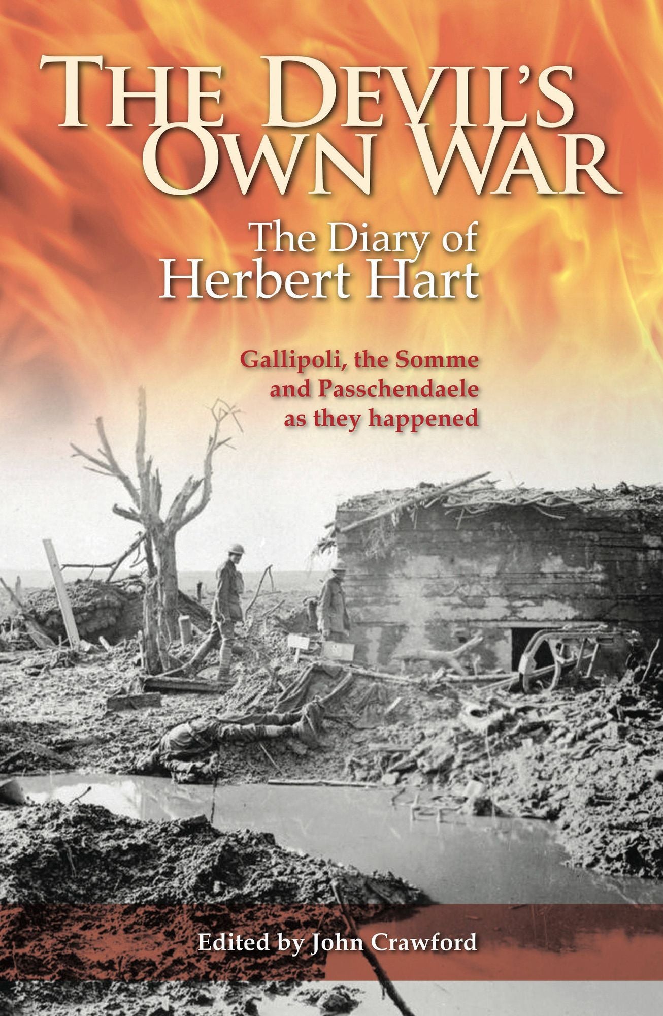 The Devil's Own War: The First World War Diary of Brigadier-General Herbert Hart