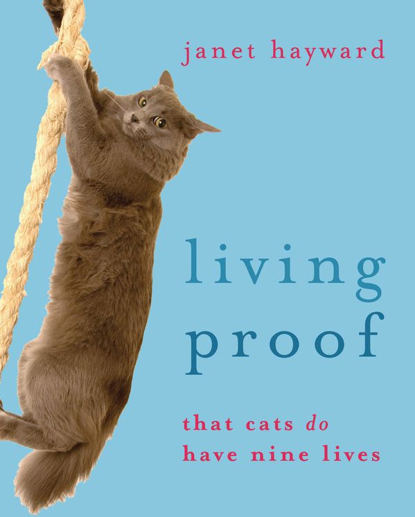 Living Proof: That cats do have nine lives