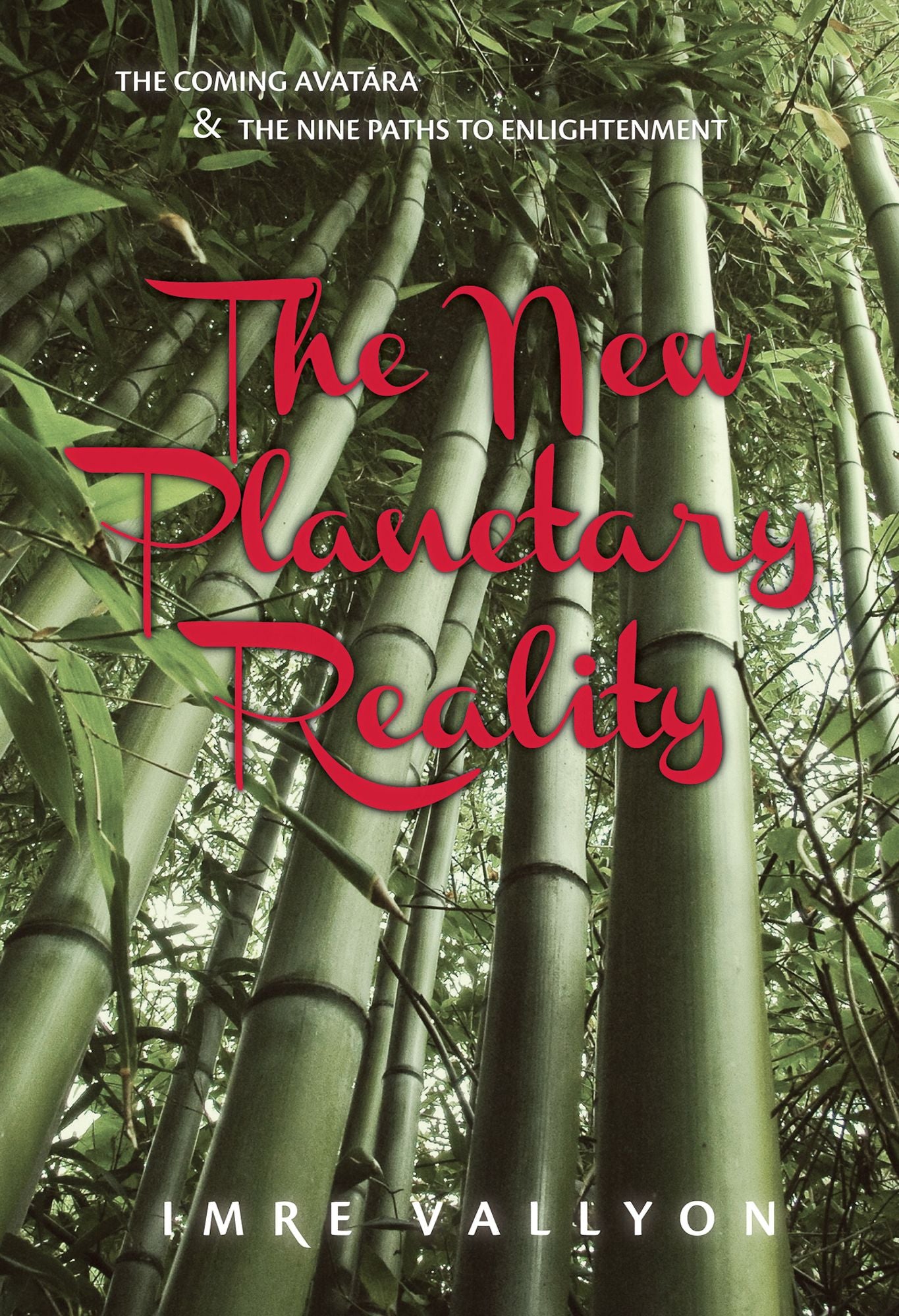 The New Planetary Reality: The Coming Avatara And The Nine Paths To Enlightenment