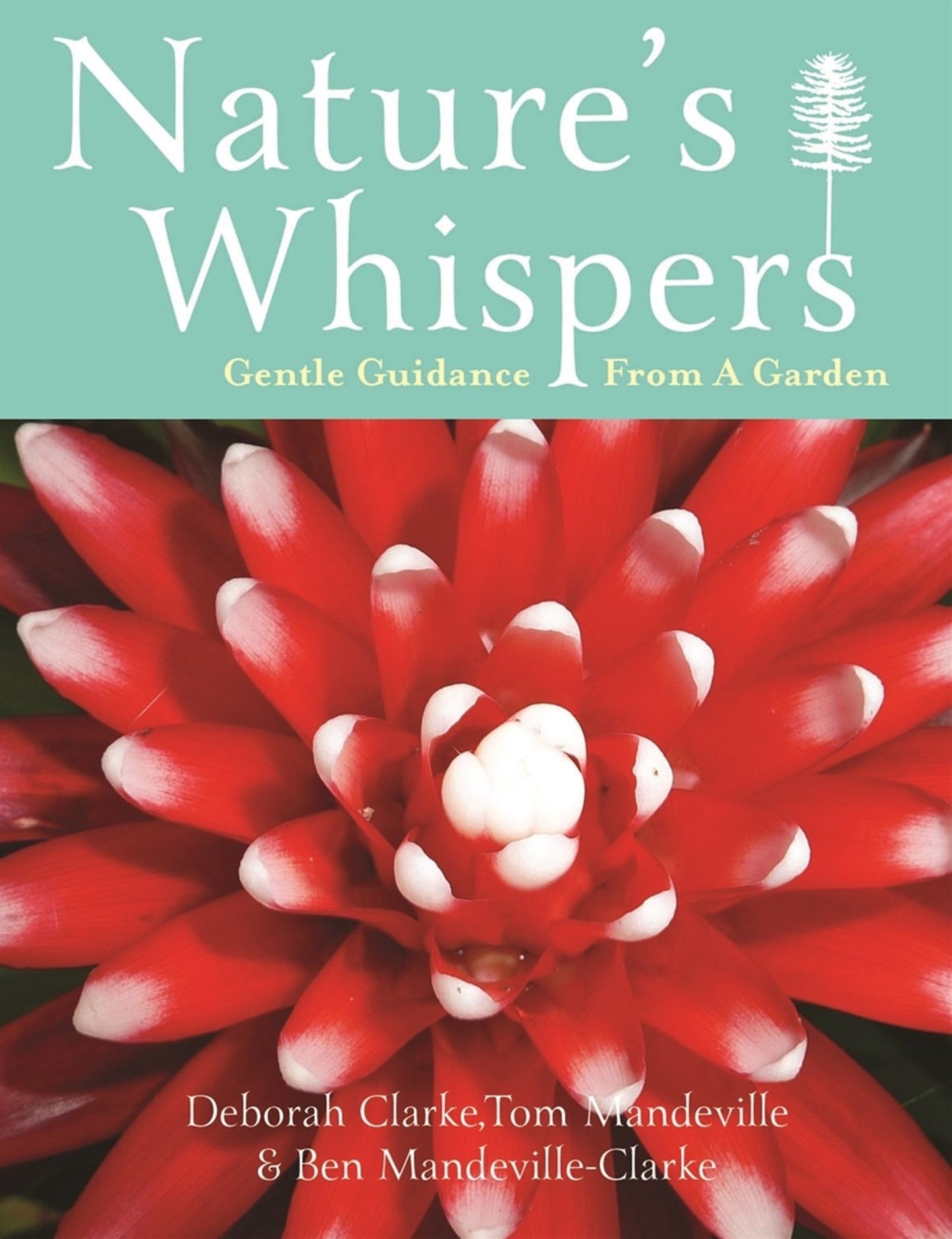 Nature's Whispers : Gentle Guidance From a Garden