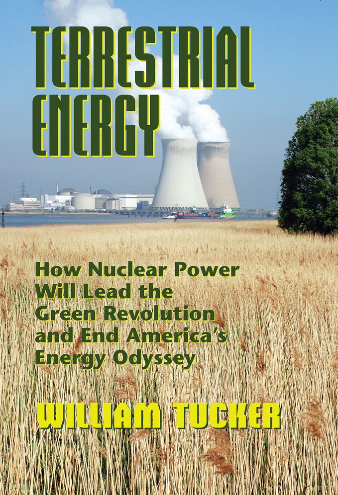 Terrestrial Energy: How Nuclear Energy Will Lead the Green Revolution and End America's Energy Odyssey