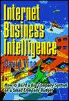 Internet Business Intelligence: How to Build a Big Company System on a Small Company Budget