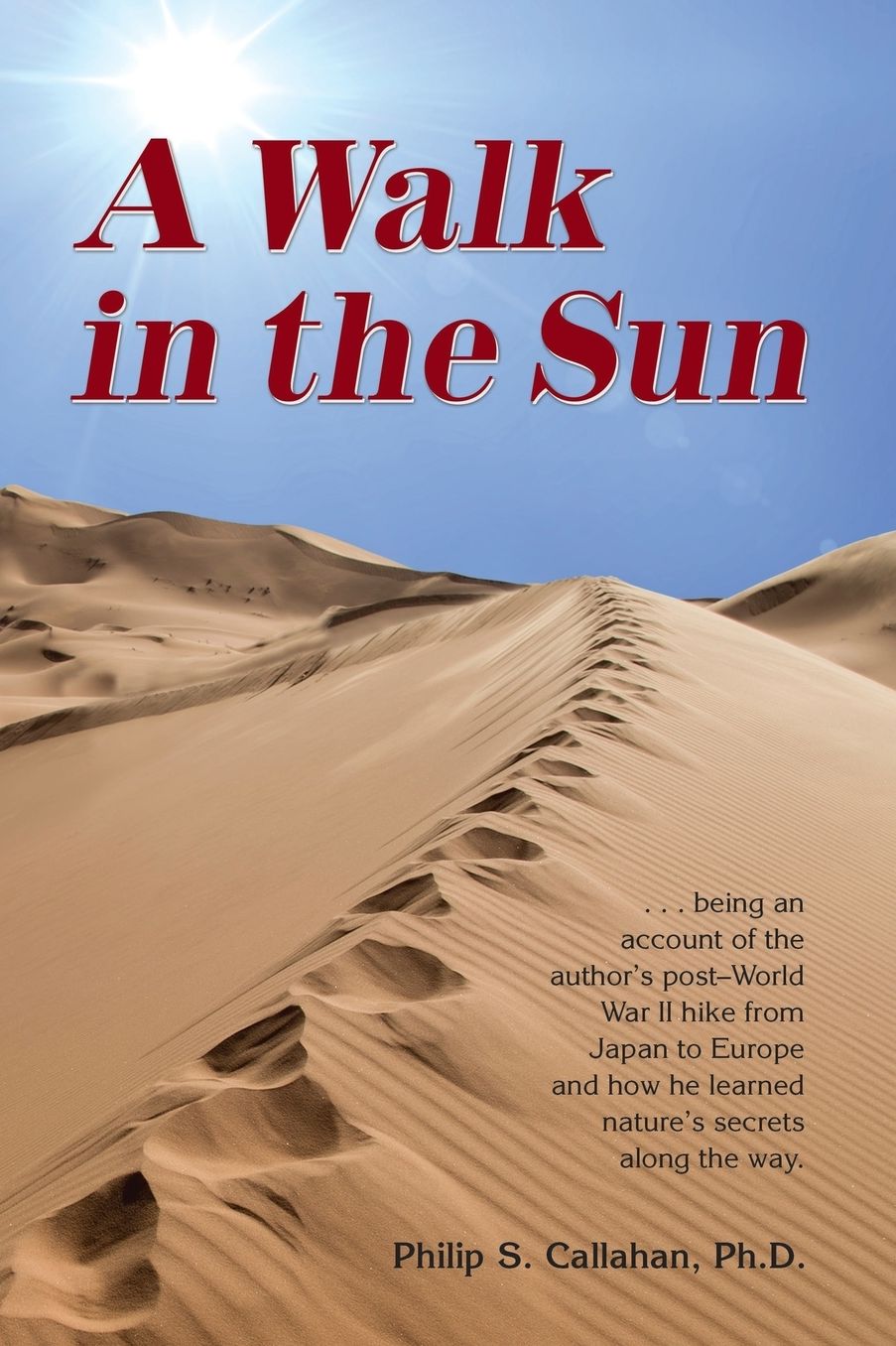 A Walk in the Sun: Indra, My Friend