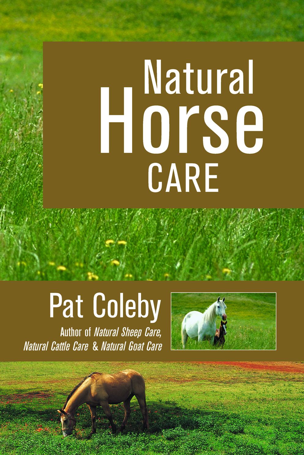 Natural Horse Care