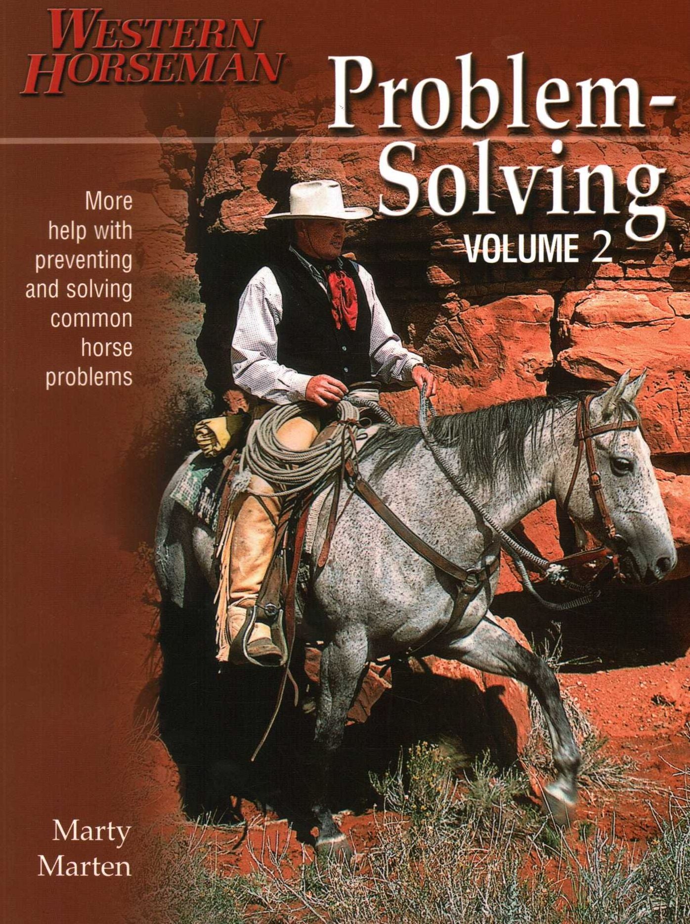 Problem-Solving, Volume 2