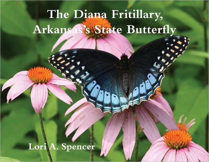 The Diana Fritillary: Arkansas's State Butterfly