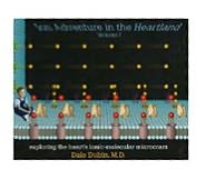 Ion Adventure in the Heartland Volume 1