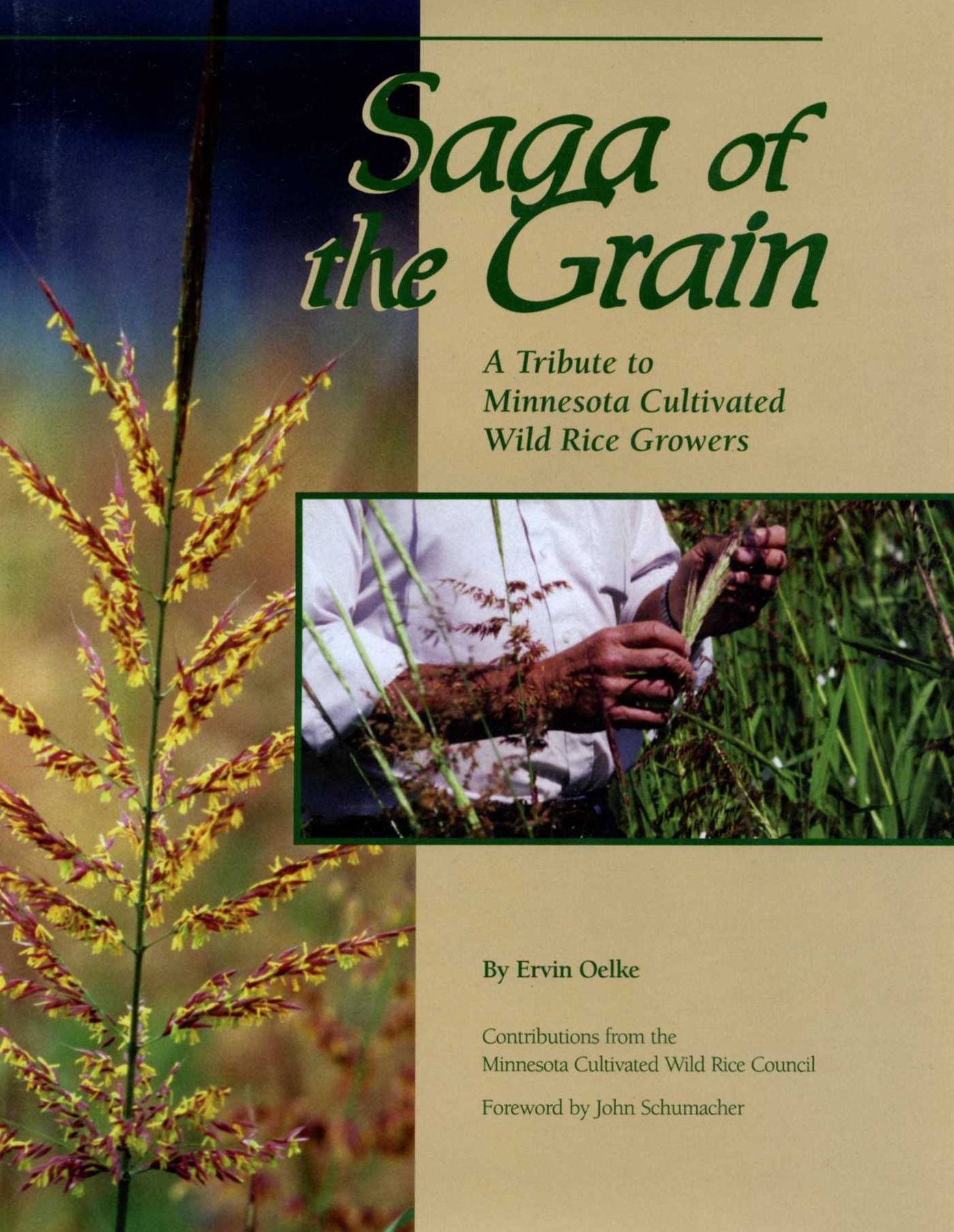Saga of the Grain: A Tribute to Minnesota Cultivated Wild Rice Growers