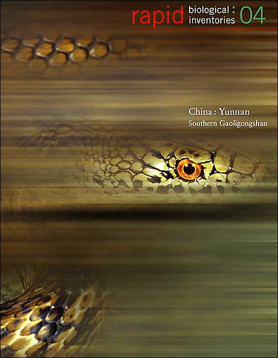 China: Rapid Biological Inventories: Yunnan, Southern Gaoligongshan