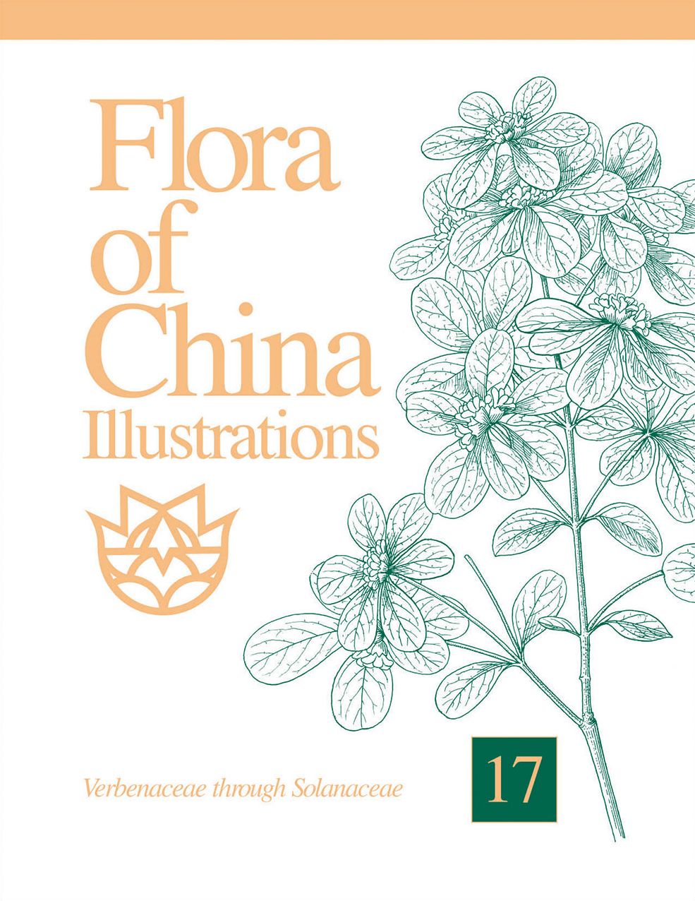 Flora of China Illustrations, Volume 17: Verbenaceae through Solanaceae