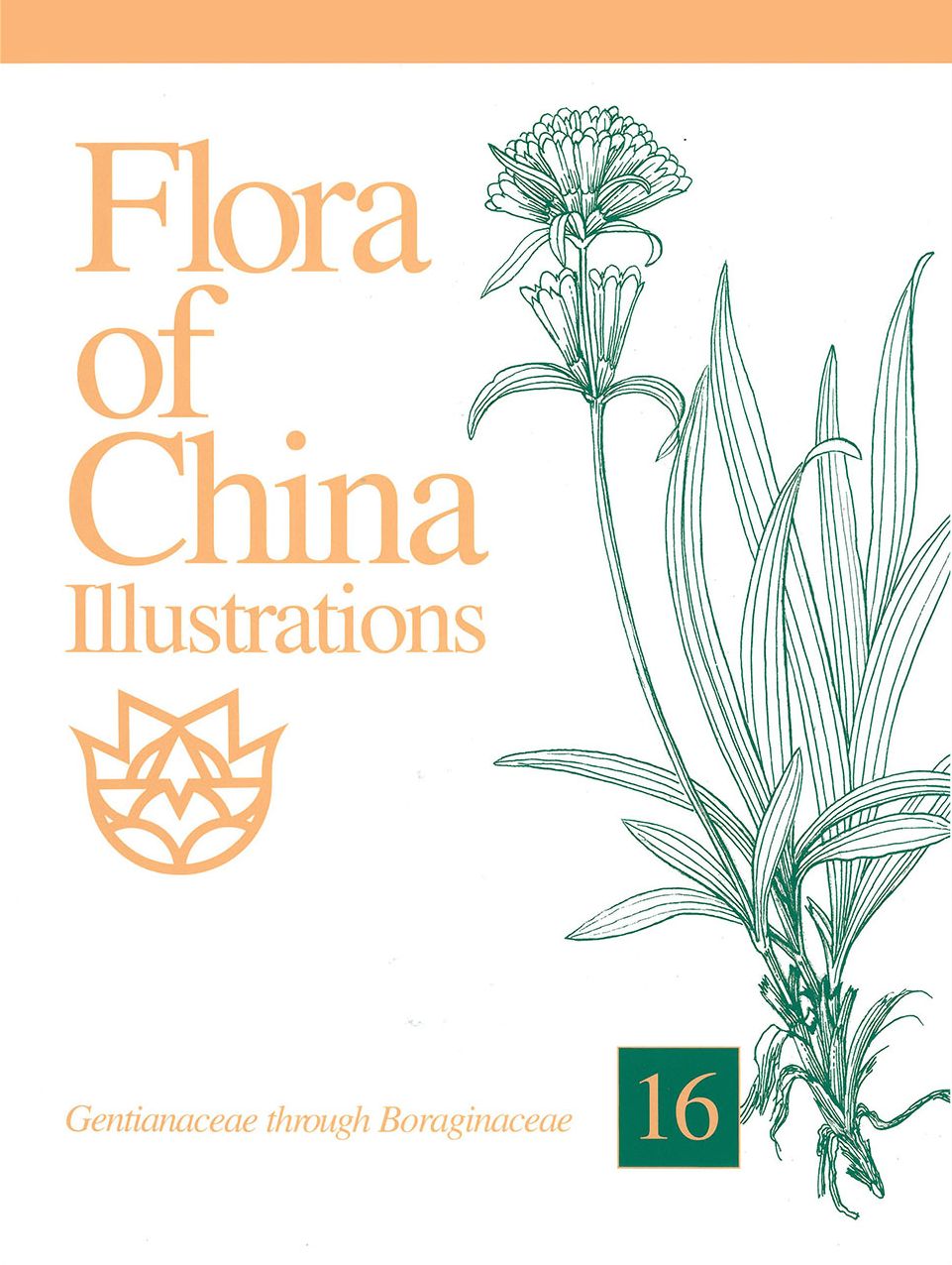 Flora of China Illustrations, Volume 16: Gentianaceae through Boraginaceae