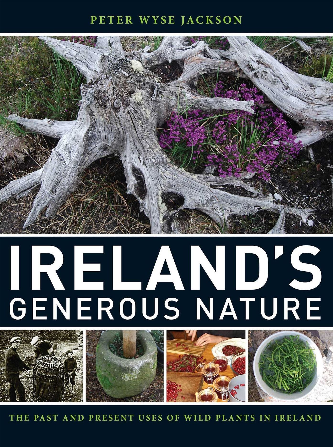 Ireland's Generous Nature: The Past and Present Uses of Wild Plants in Ireland