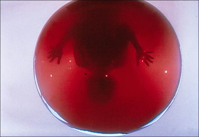 Thin Skin: The Fickle Nature of Bubbles,Spheres,and Inflatable Structures