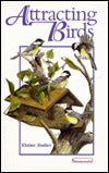 Attracting Birds