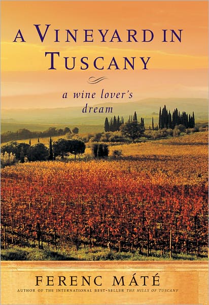 Vineyard in Tuscany
