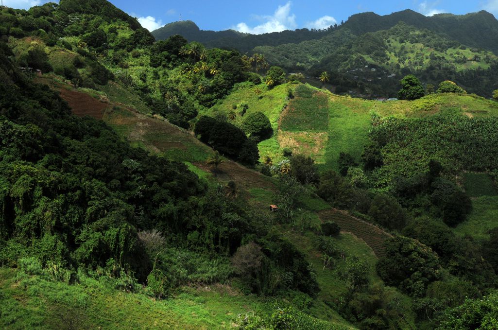 Islands of Eden: St.Vincent and the Grenadines