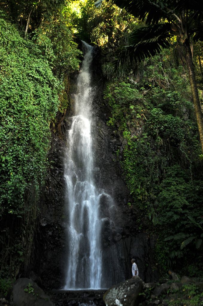 Islands of Eden: St.Vincent and the Grenadines