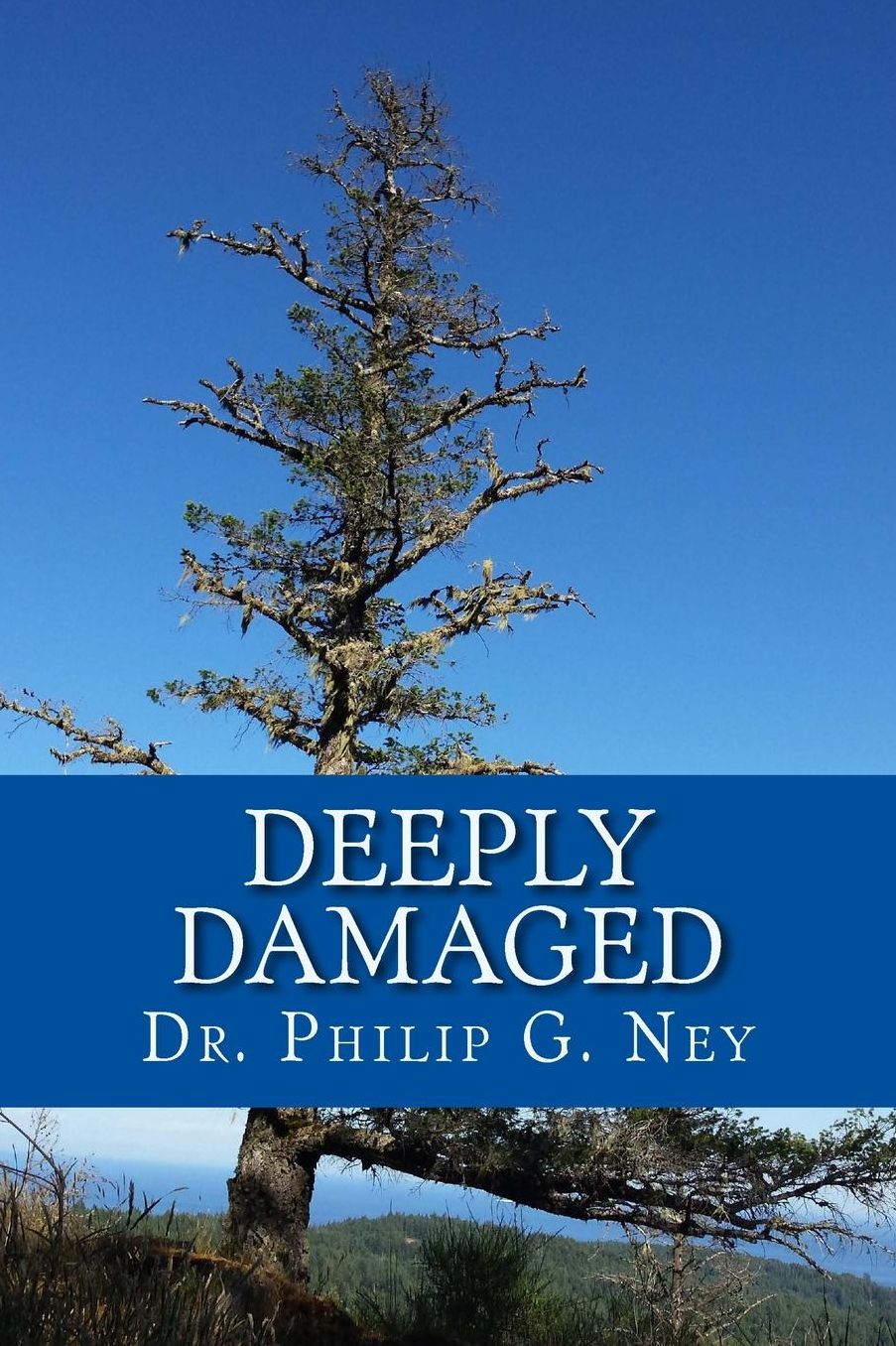 Deeply Damaged: An Explanation for the Profound Problems Arising from Aborting Babies and Abusing Children