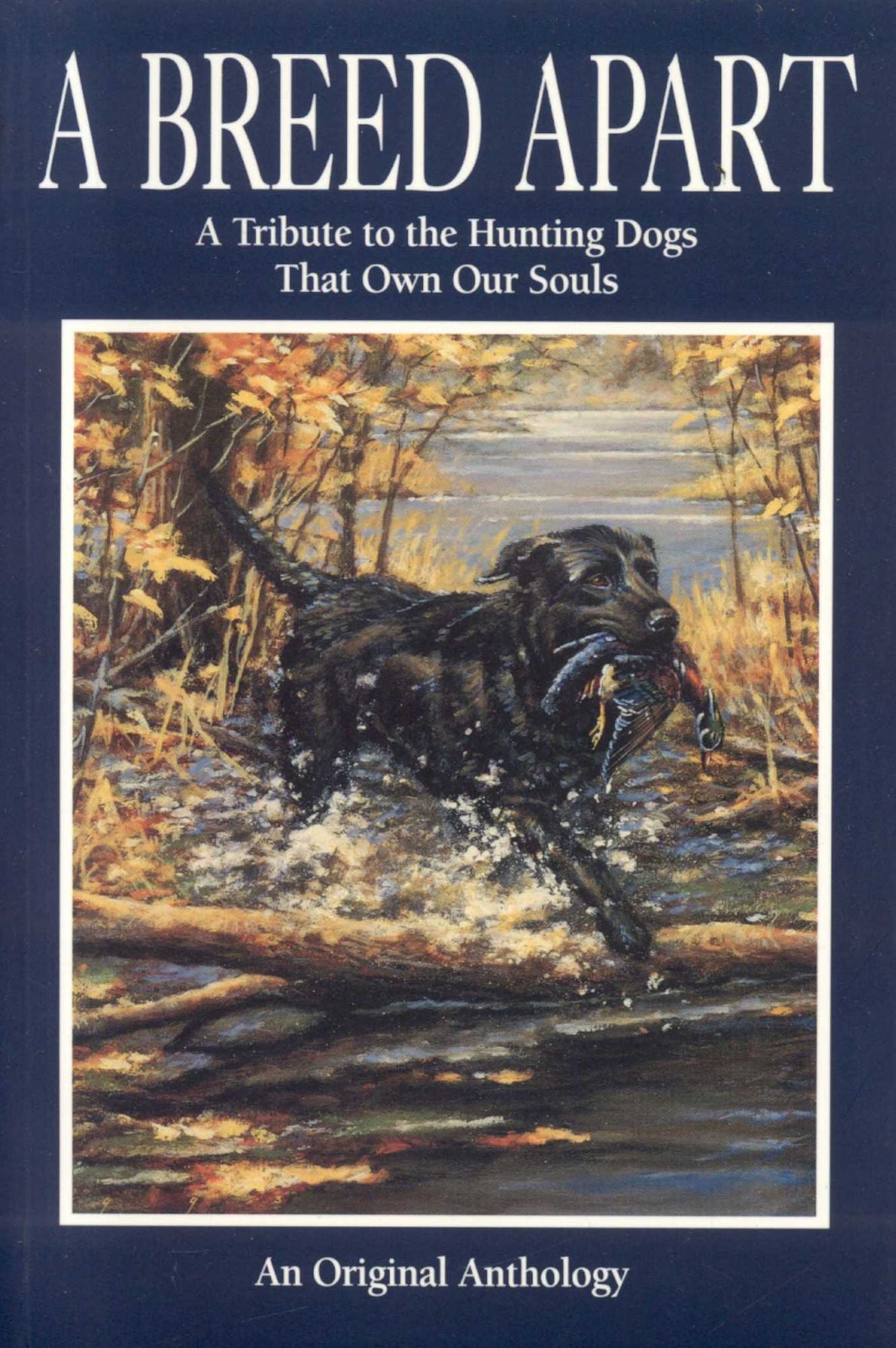 A Breed Apart: A Tribute to the Hunting Dogs That Own Our Souls